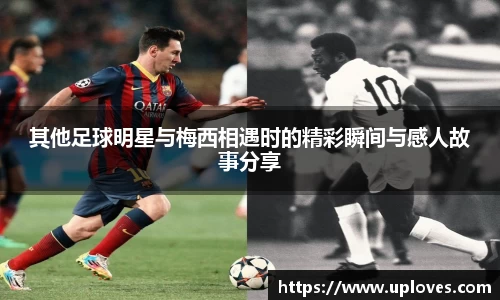 雷竞技官方网站