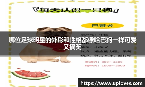 哪位足球明星的外形和性格都像哈巴狗一样可爱又搞笑